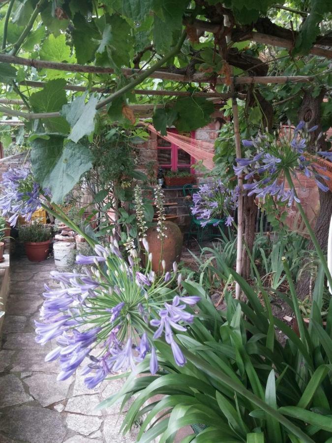 Bed and Breakfast Sotto Il Castello Trebiano Экстерьер фото
